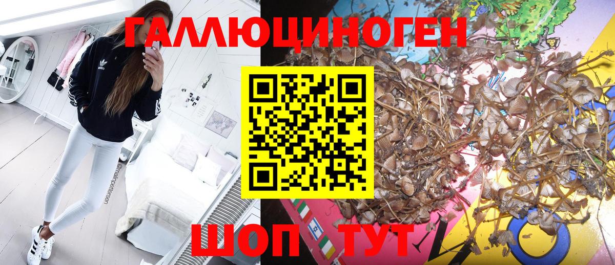 купить закладку  Вход с VPN  Краснокамск  Псилоцибиновые грибы ЛСД 